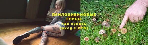 спайс Алексеевка