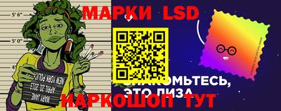 apvp Свободный