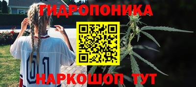 apvp Свободный