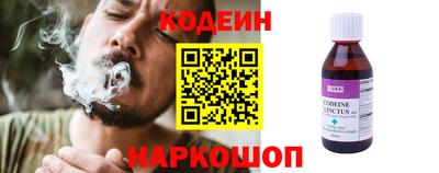 apvp Свободный