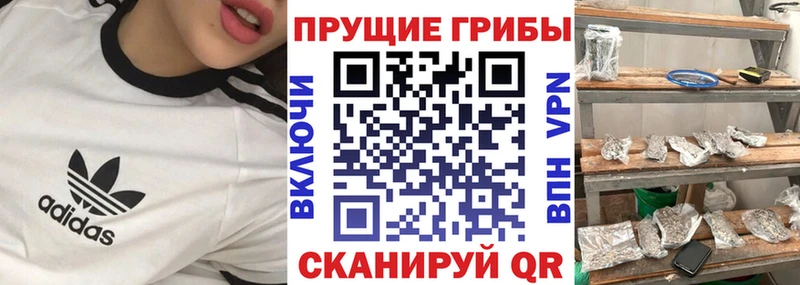 Галлюциногенные грибы прущие грибы  Тайшет 