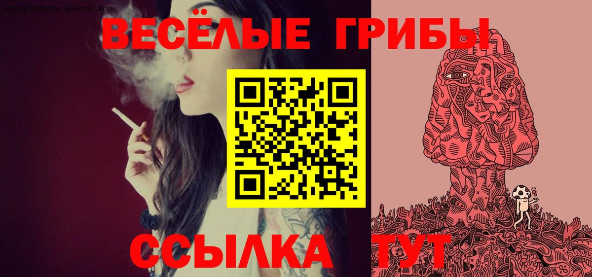 Тайшет  Галлюциногенные грибы прущие грибы  Вход с VPN 